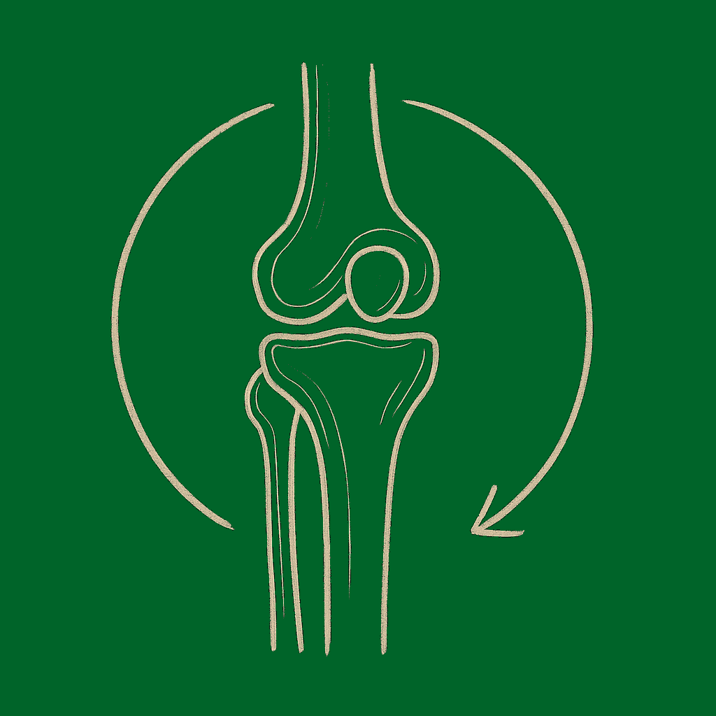 Pain & Joint Support