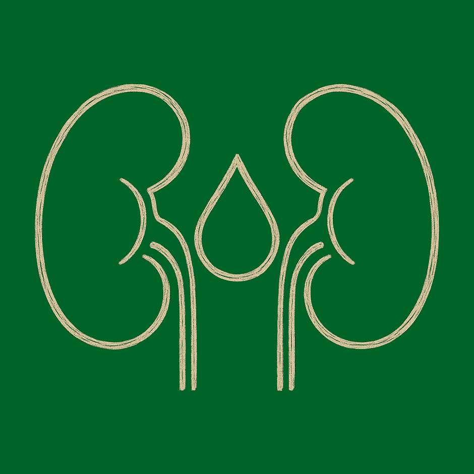 Urinary & Renal Care